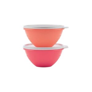 Tupperware Čudežna posodica 560 ml (2 kosa)